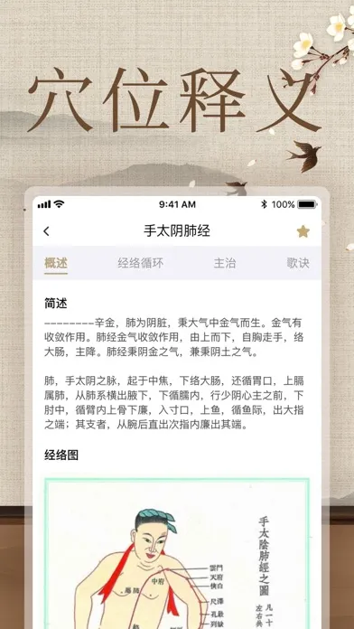 Tangkapan layar 经络穴位图解-人体穴位图
