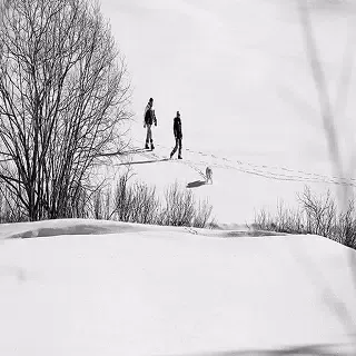 Aaron Bell Tattoo Screenshots