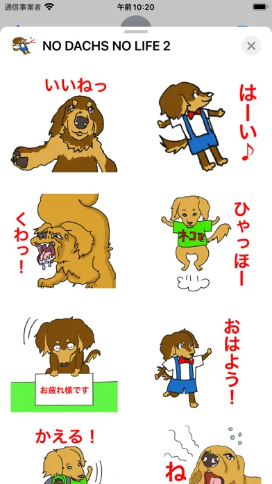 NO DOGS NO LIFE 2应用截图