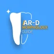 AR-D Morphology