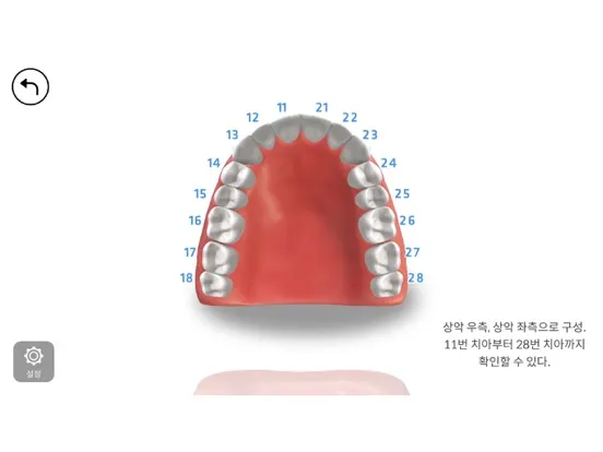 AR-D Morphology iPad  スクリーンショット