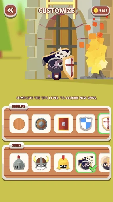 تصاویر Shield Knight