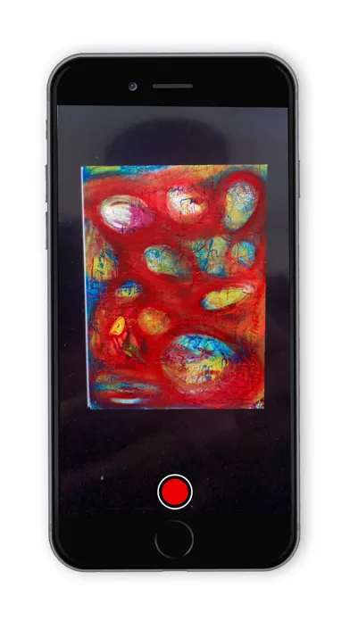Capturas de pantalla de Native Digital AR