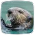 Otter Sounds