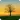 Nature Wallpaper