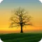Nature Wallpaper