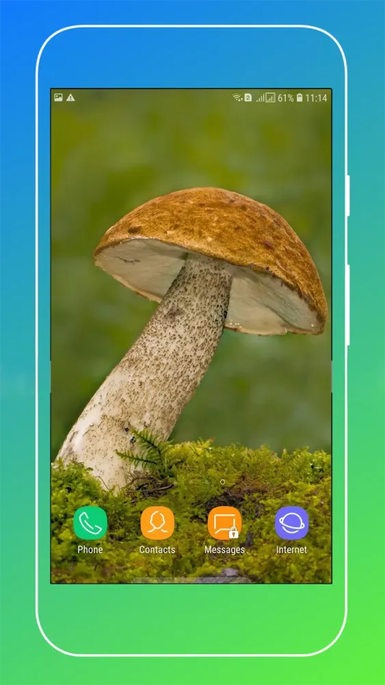 Nature Wallpaper Screenshots