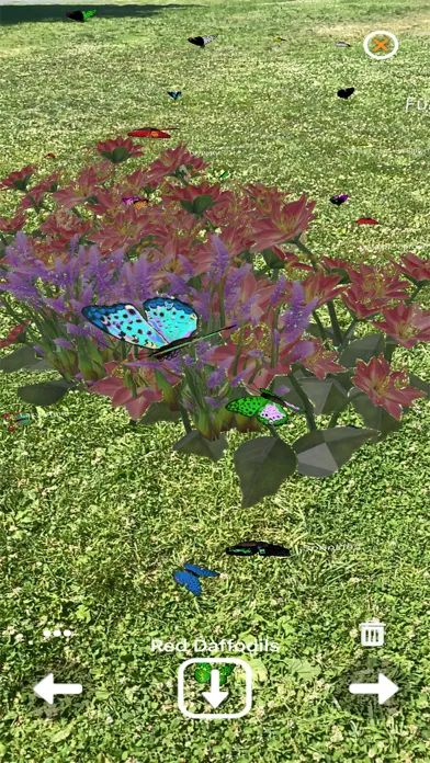 Captures d'écran de 1001 Butterflies