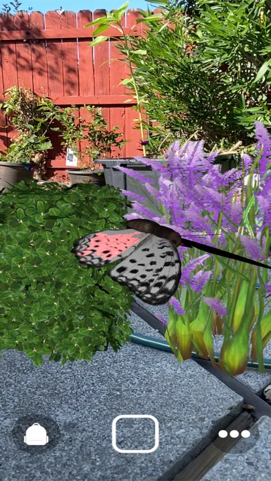 Captures d'écran de 1001 Butterflies