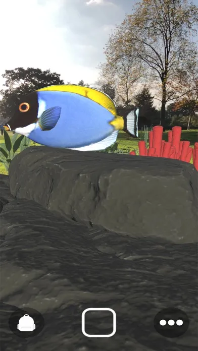 Magic Fish AR應用截圖