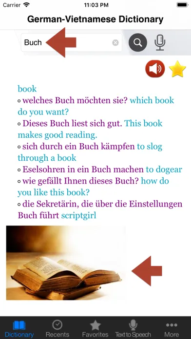 German-Vietnamese Dictionary++ 스크린샷