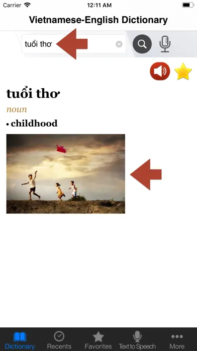 Vietnamese-English Dictionary+ Screenshots