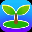 Little Tree ASMR