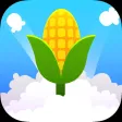Pop the Corn ASMR Pop the Corn ASMR