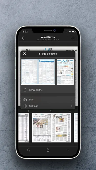 Capturas de tela do PDF جريدة المال