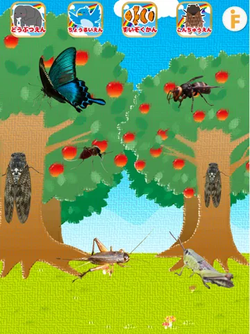 はじめての動物園！-水族館・鳥類園・昆虫園付き iPad 应用截图