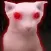 Bingus Horror
