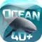 Ocean 4D+