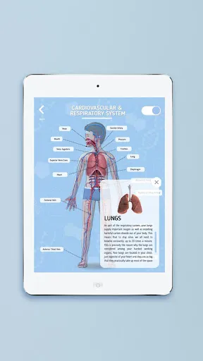 Humanoid 4D+ स्क्रीनशॉट