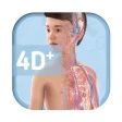 Humanoid 4D+ Humanoid 4D+