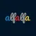 Alfalfa