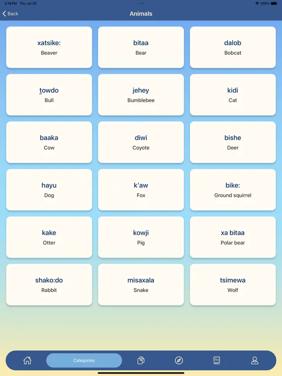 Скриншоты yaʔ jano iPad 