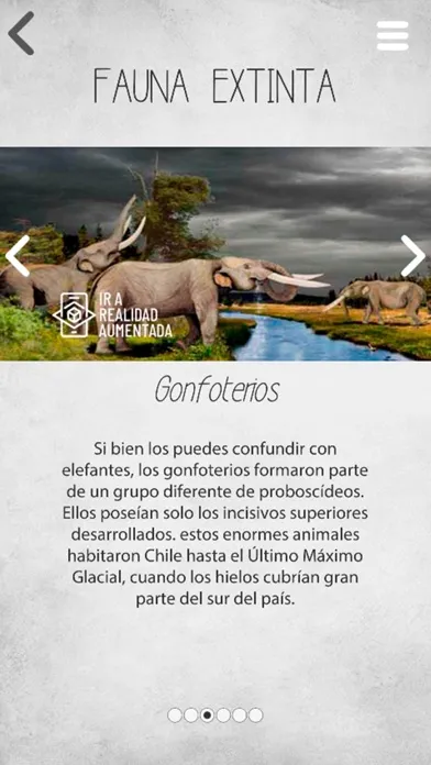 Capturas de pantalla de Patrimonio O'Higgins