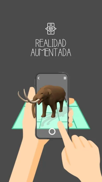 Capturas de pantalla de Patrimonio O'Higgins