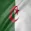 Algeria Flag Live Wallpaper