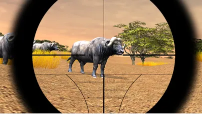 صور Safari Hunting 4x4