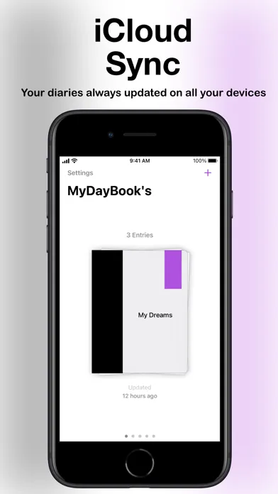 DayBook's应用截图
