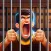 Escape From Prison: Jailbreak