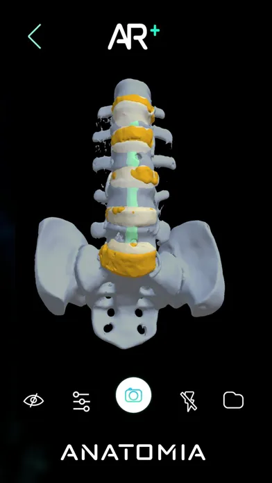 Zrzuty ekranu Anatomic Reality +