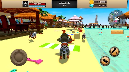 Cat Simulator - Animal Life Screenshots