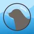 Seal Spotter