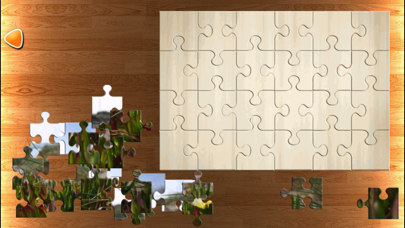 Ảnh chụp màn hình của PPPuzzle!