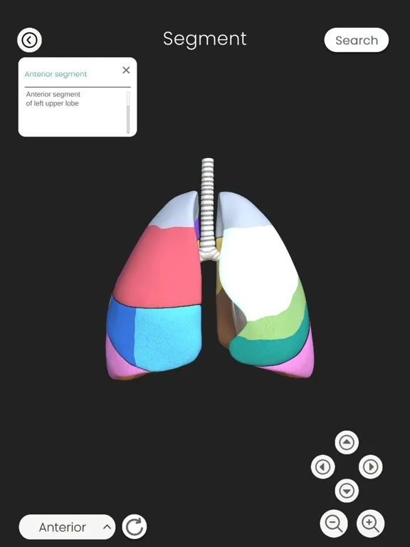 My Lung PT SWU iPad  স্ক্রিনশট