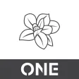 Magnolia Title ONE Magnolia Title ONE