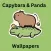 Capybara & Panda Cute Pictures