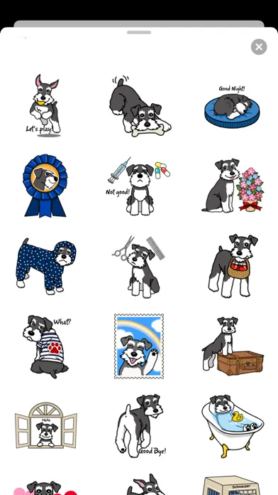تصاویر Miniature Schnauzer Dog Icon