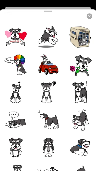 تصاویر Miniature Schnauzer Dog Icon