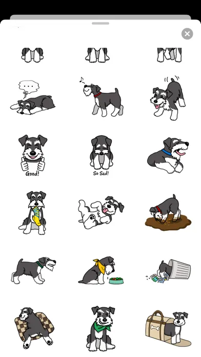 تصاویر Miniature Schnauzer Dog Icon