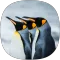 Penguin Sounds