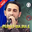 Perviz Bulbule 2020 İnternet olmadan