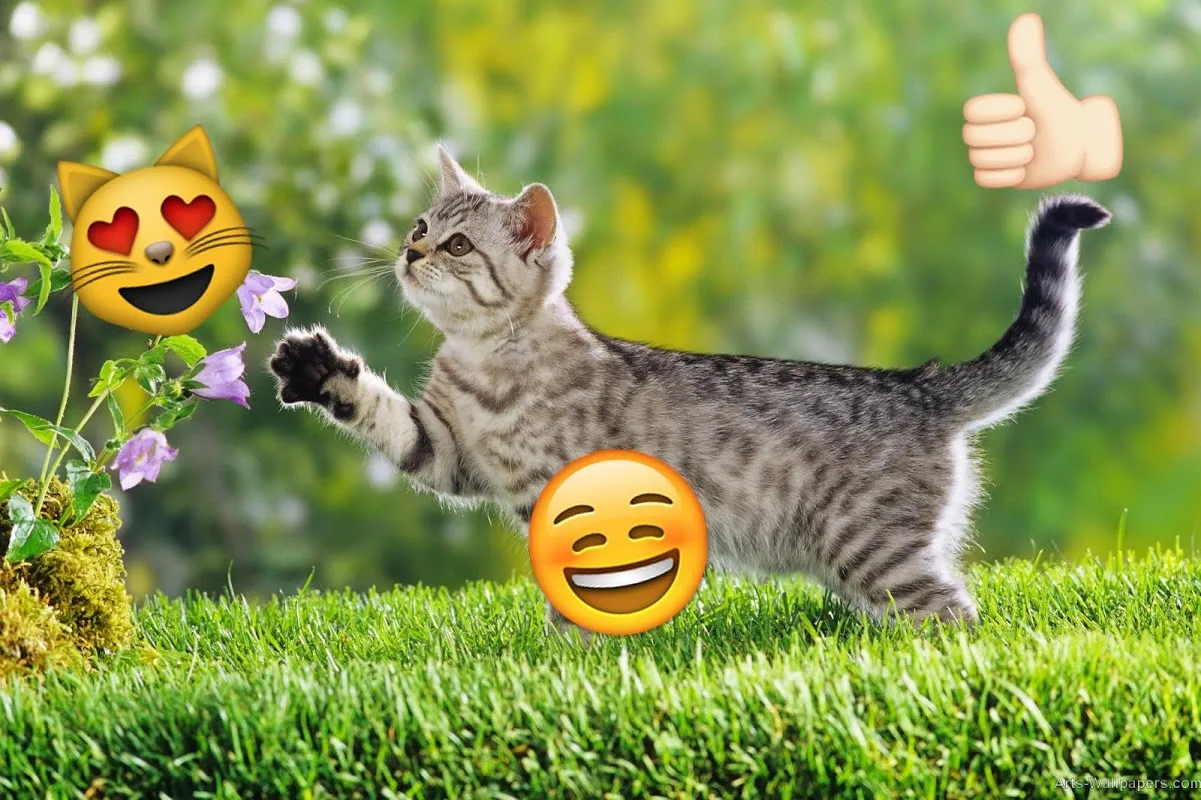 Tangkapan skrin Emoji Photo Sticker