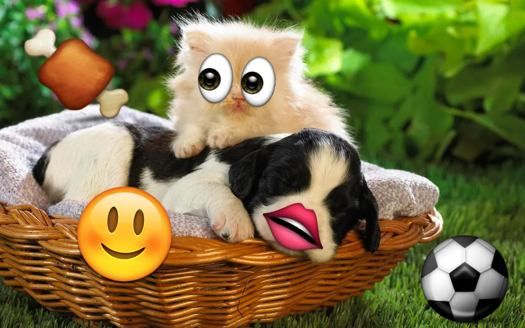 Tangkapan skrin Emoji Photo Sticker