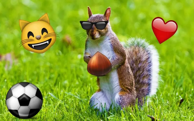 Tangkapan skrin Emoji Photo Sticker