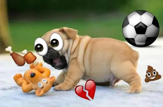 Tangkapan skrin Emoji Photo Sticker