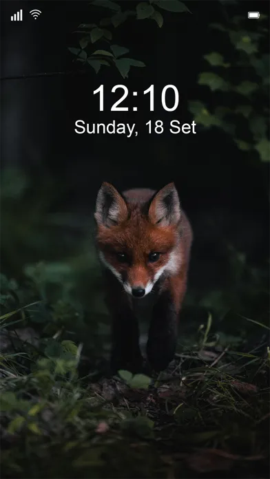 Capturas de pantalla de Pixs Wall - HD Cool Wallpaper