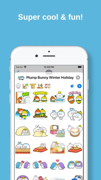 صور Plump Bunny Winter Holiday